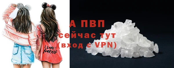 шишки Абаза
