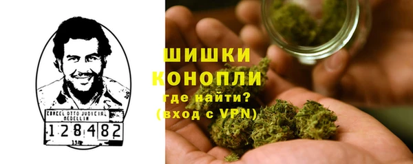 шишки Абаза