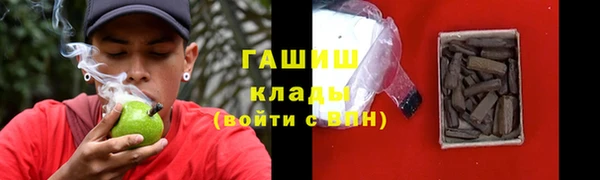 шишки Абаза