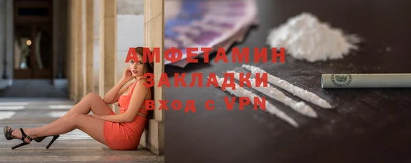 шишки Абаза
