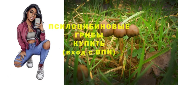 гидра Абинск