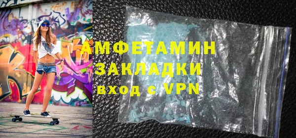 шишки Абаза